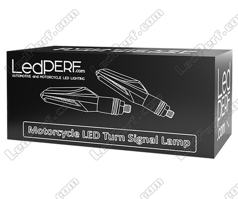 Packaging de los intermitentes LED dinámicos + luces diurnas para BMW Motorrad G 650 Xchallenge