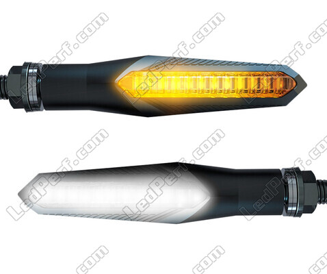 Indicadores LED secuenciales 2 en 1 con luces diurnas para Yamaha FZS 600 Fazer (MK2)